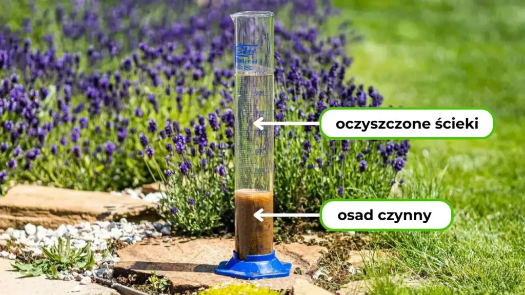 Cylinder z oczyszczonymi ściekami i osadem czynnym na tle lawendy w ogrodzie